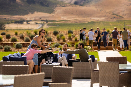 winelovers drinking and relaxing in the vineyard seating